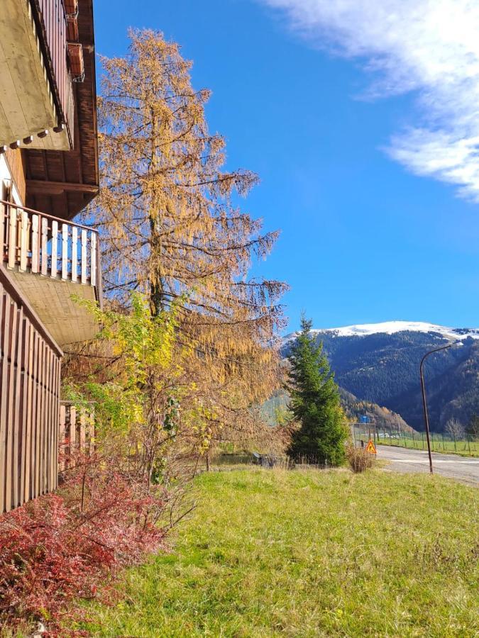 181 - Casa Arcobaleno Tra Le Alpi, Piste Da Sci A 15 Minuti Lejlighed Castione della Presolana Eksteriør billede