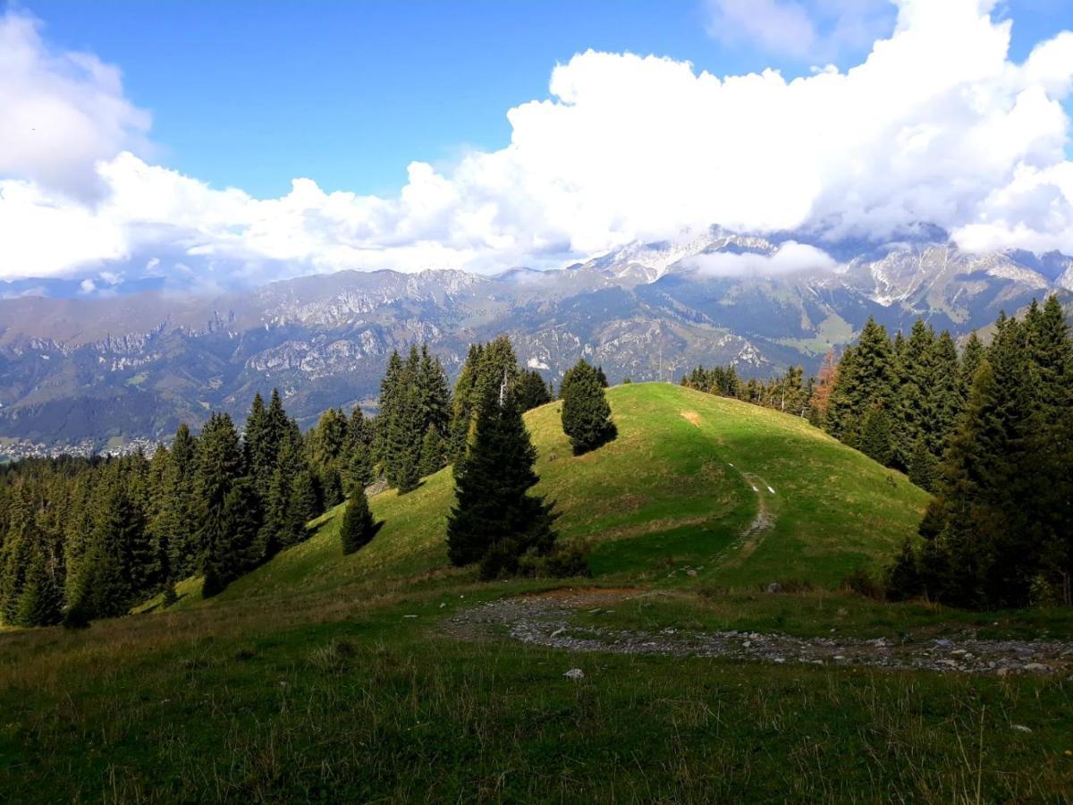 181 - Casa Arcobaleno Tra Le Alpi, Piste Da Sci A 15 Minuti Lejlighed Castione della Presolana Eksteriør billede